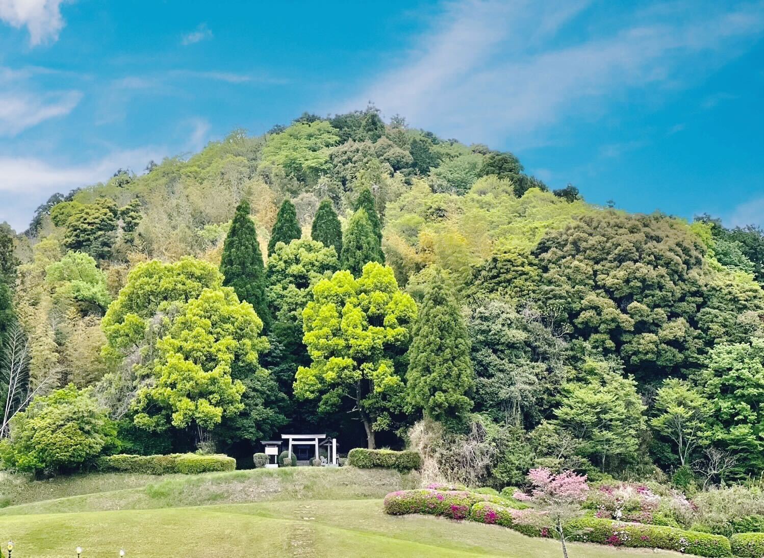 津カントリー倶楽部を見守る椿大神社